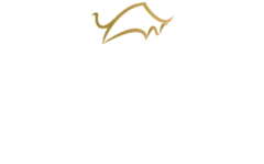 Gaucho do Sul